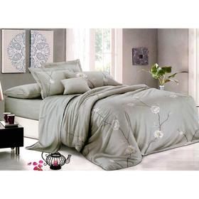 

КПБ 1,5 сп, размер 150x215 см, 150x215 см, 70x70 см - 2 шт