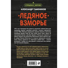 

Ледяное взморье. Тамоников А.А.