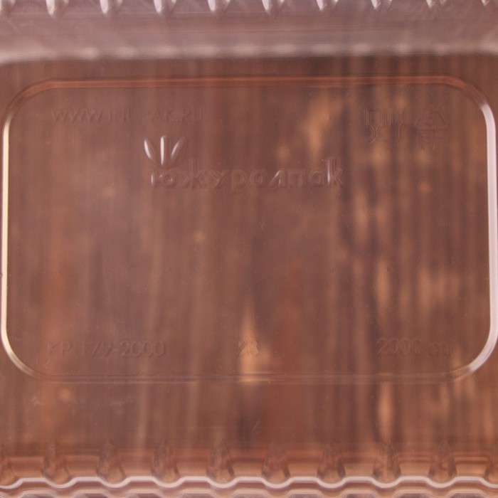 Контейнер одноразовый «Южуралпак», КР-179, 2000 гр, 13×18×12,5 см, цвет прозрачный