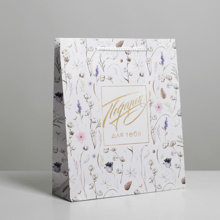 Пакет подарочный ламинированный, упаковка, «Gift for you», ML 21 х 25 х 8 см подарочный набор gift box аниме tnt 25 х 22 х 8 см