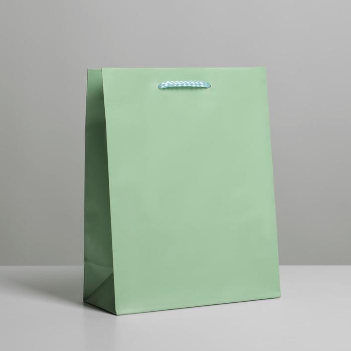 Пакет подарочный ламинированный, упаковка, «Зелёный», MS 18 х 23 х 8 см