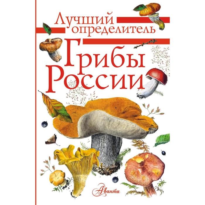 Грибы России. Определитель. Кривошеев С.В. кривошеев в с кухня