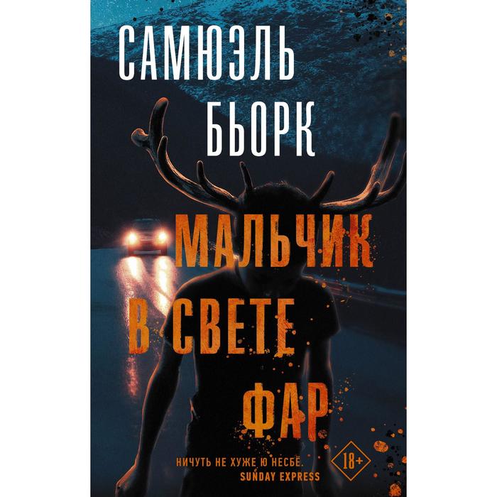 

Мальчик в свете фар. Бьорк С.