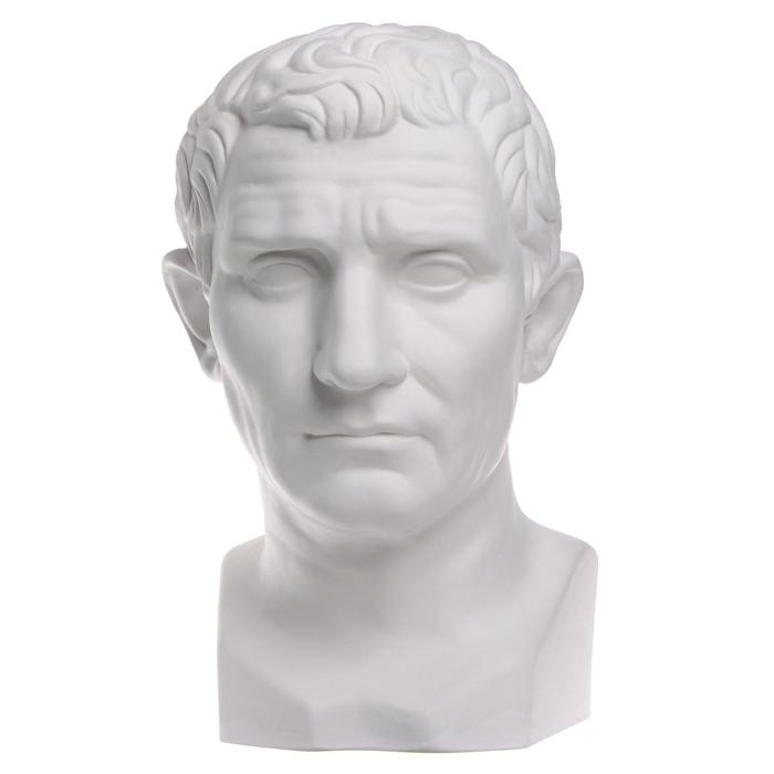 Гипсовая фигура известные люди голова Августа, 26 х 28 х 48 см