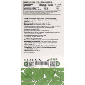 

Глюкозамин, Хондроитин, МСМ, 60 капсул
