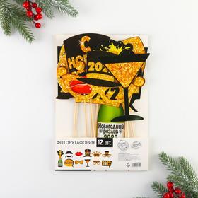 

Набор фотобутафории "Новогодняя вечеринка", 12 предм., 21 х 30 см