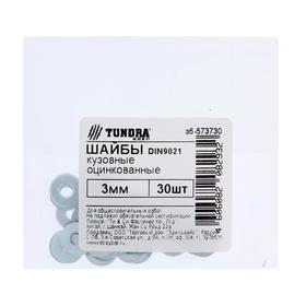 

Шайба кузовная ТУНДРА krep DIN9021 3 мм, цинк, 30 шт.