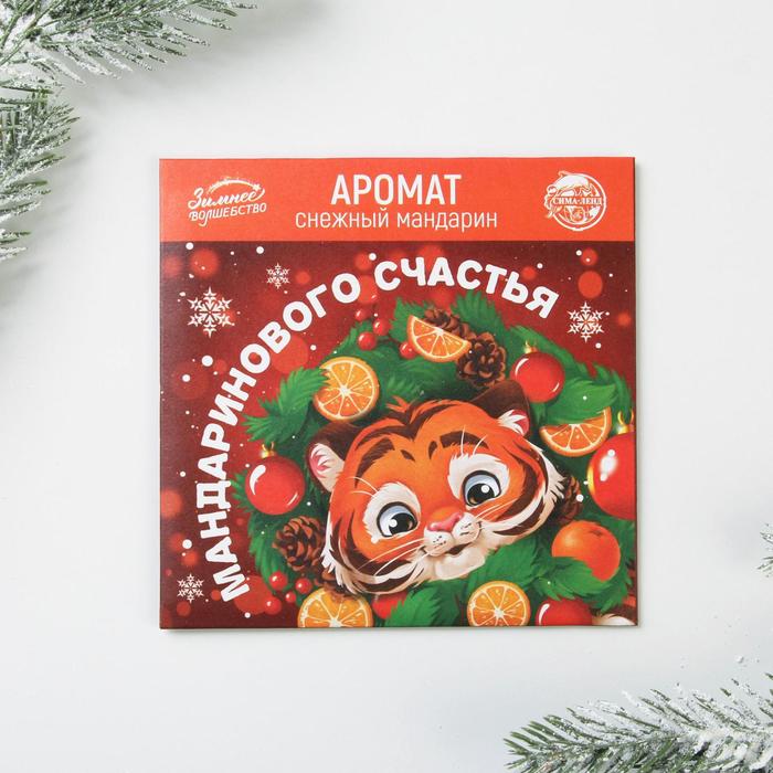 

Аромасаше в конверте «Счастья», 11 х 11 см