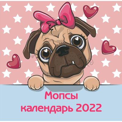 Пес Новые Серии 2022 Года