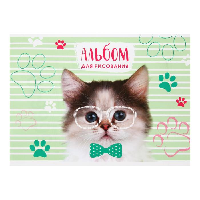 

Альбом для рисования А4, 8 листов на скрепке "Умный котик", бумажная обложка, блок 100 г/м²