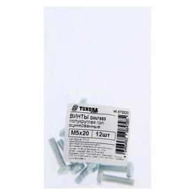 

Винт ТУНДРА krep с полукруглой головкой, DIN7985 М5x20, цинк, 12 шт.
