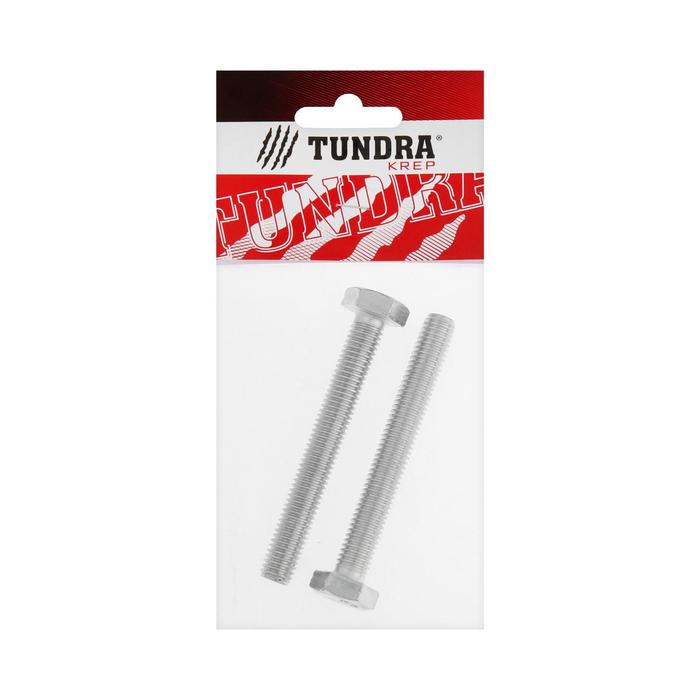 

Болт "ТУНДРА krep", с шестигранной головкой, оцинкованный, DIN933, М10х80 мм, 2 шт