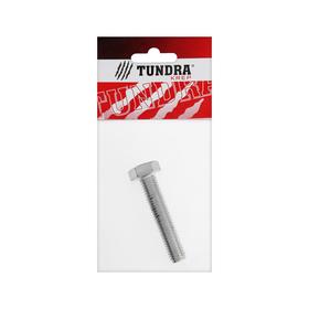 

Болт с шестигр. головкой TUNDRA krep, DIN 933, М12х60, к.п. 8.8, цинк, 1 шт.