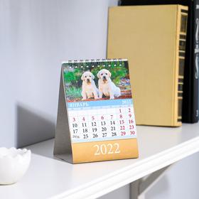 

Календарь настольный, домик "Щенки" 2022 год, 10х14 см