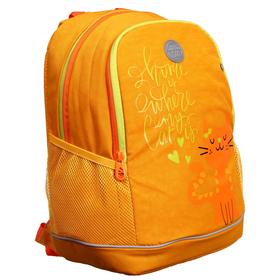 

Рюкзак школьный, Grizzly RG-163, 38 x 28 x 18 см, эргономичная спинка, 2 отделения, жёлтый