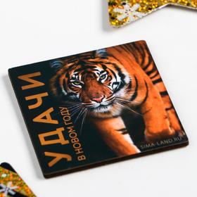 

Магнит "Удачи" 70х70 мм