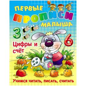 

Цифры и Счёт. Учимся читать, писать, рисовать. Лясковский В. Л.