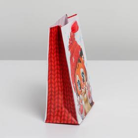 

Пакет ламинированный вертикальный «Тигруля», S 12 × 15 × 5,5 см