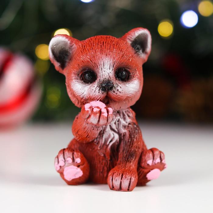 

Сувенир "Тигренок Шива", полистоун, 5,5х5,5х7 см