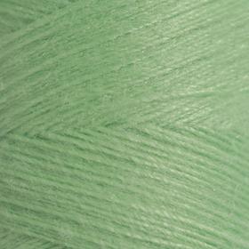 Нитки 40ЛШ, 200 м, цвет мятно-зелёный №3902 Ош