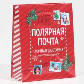 Пакет ламинированный вертикальный «Полярная почта», S 11,5 х 14,5 х 5,5 см, Новый год