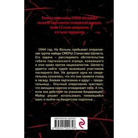 

Волынская мадонна. Тамоников А.А.