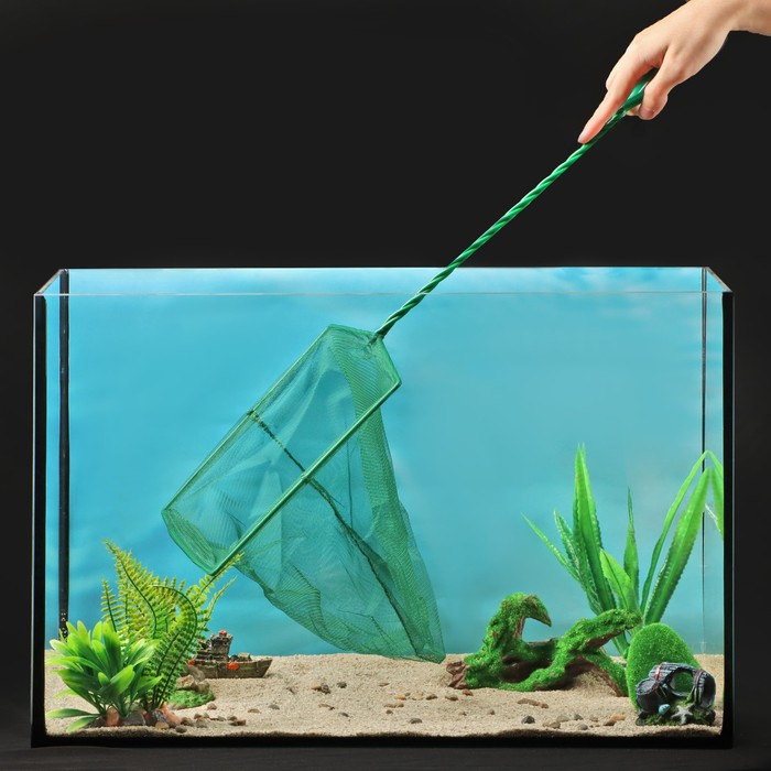фото Сачок аквариумный 25 см, зелёный