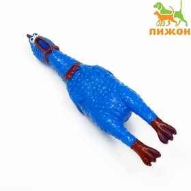 Игрушка пищащая 'Задумчивая курица' малая для собак, 16,5 см, ярко-синяя Ош