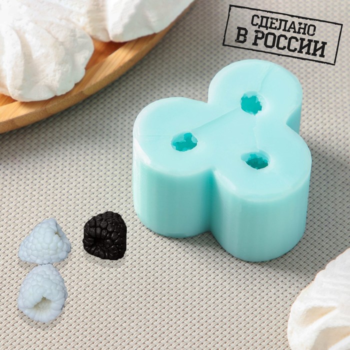 

Силиконовый молд «Малина 3D», крупная, цвет бирюзовый