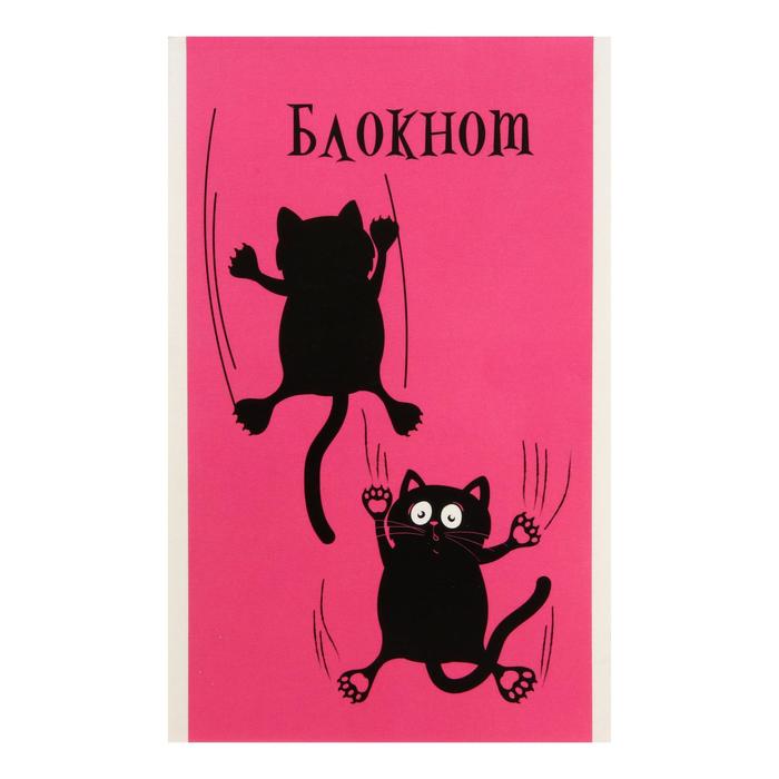 

Блокнот, А6, 40 листов, в клетку, «Шкодные котята», обложка мелованный картон, блок 60г/м²