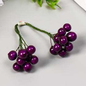 

Набор декоративных ягод "Fabrika Decoru. Калина" 20 шт, фиолетовый