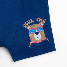 

Трусы боксеры для мальчика, цвет синий/мишка в очках, рост 134-140 см