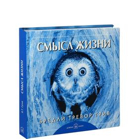 

Смысл жизни . Грив Б. Т.