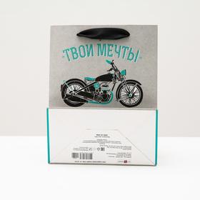 

Пакет подарочный "Мечты", 18 х 22,3 х 10 см