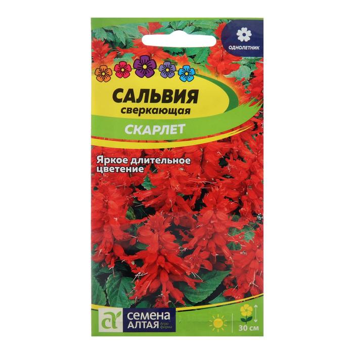 

Семена цветов Сальвия "Скарлет", сверкающая, Сем. Алт, ц/п, 0,1 г