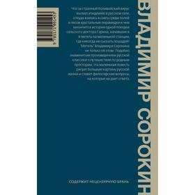 

Метель. Сорокин В.Г.