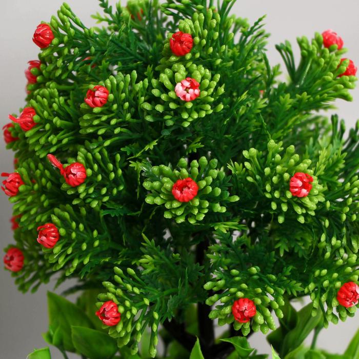 

Бонсай "Цветочный куст" 11х25 см, микс