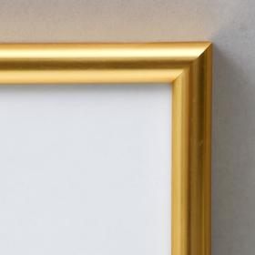 

Фоторамка Gallery 30х40 см, золото