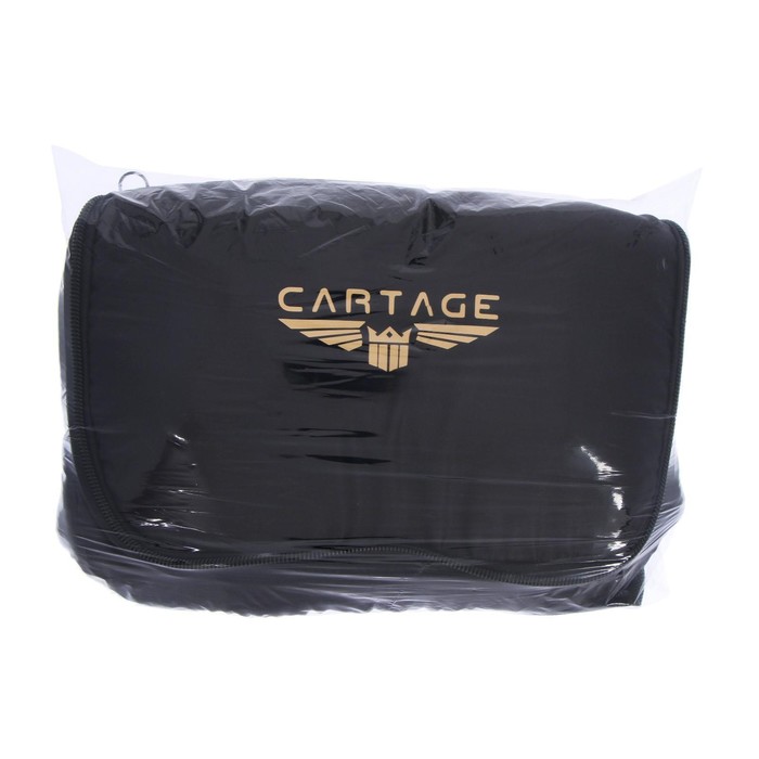 Термосумка Cartage Т-14, черная, 10 литров, 26х19х19 см