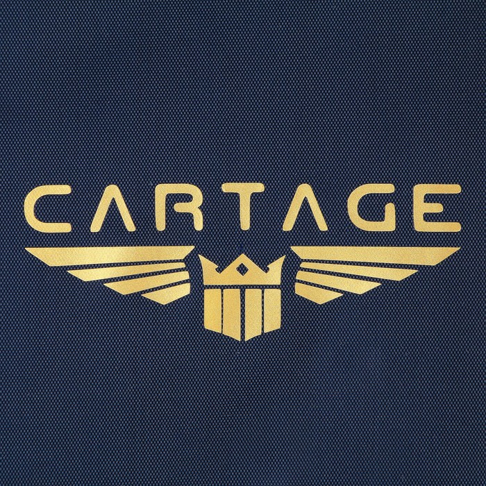 Термосумка Cartage Т-16, синяя, 10 литров, 26х19х19 см