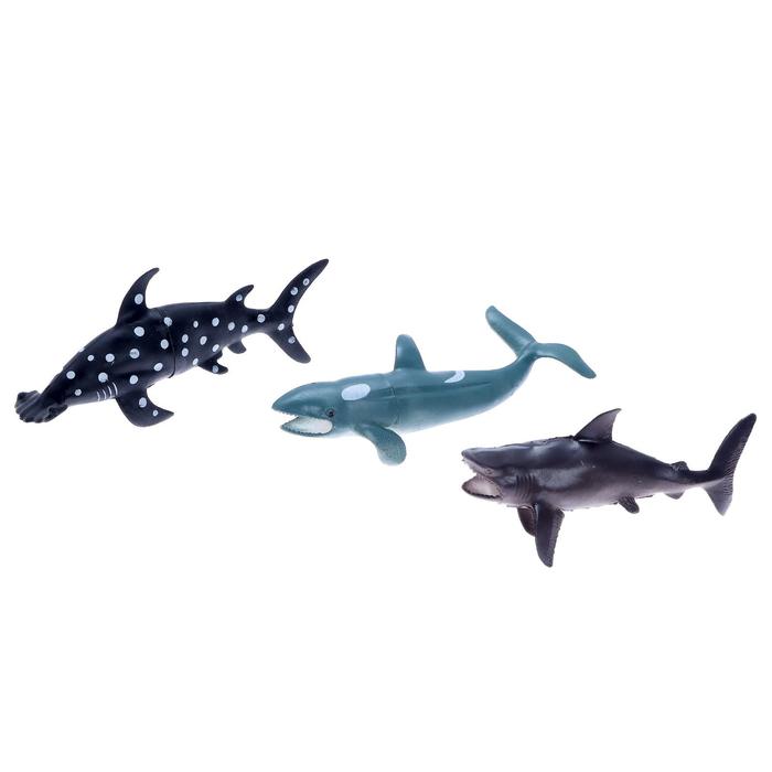 Набор морских животных «Хищники», 3 штуки набор морских животных хищники 3 штуки