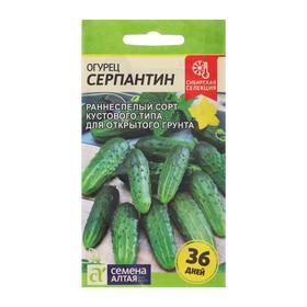 Семена Огурец "Серпантин", Сем. Алт, ц/п, 0,5 г