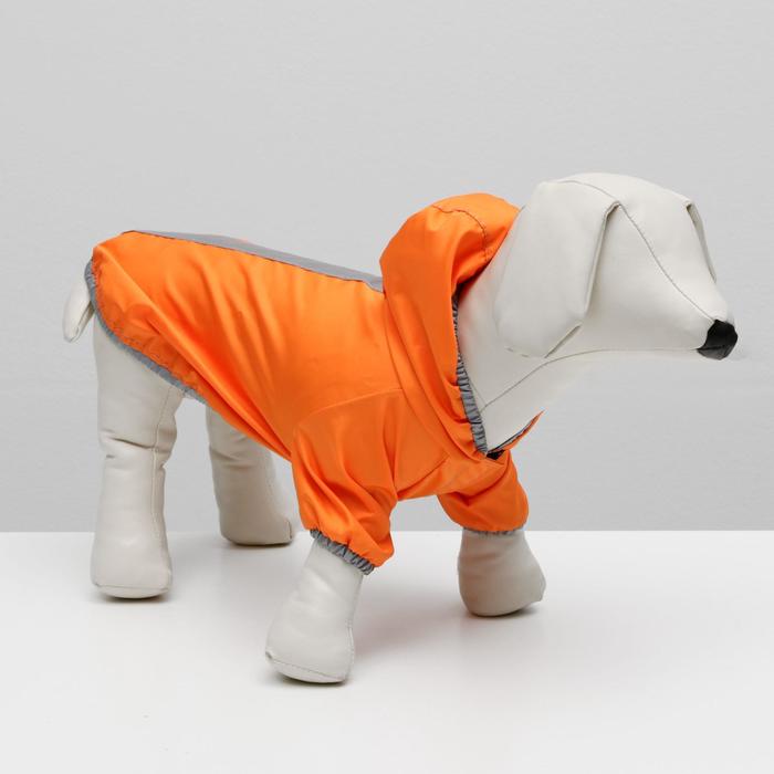 Куртка-ветровка для животных, светоотражающая, XS (ДС 18-20, ОШ 22-24, ОГ 29-30 см), оранжевая 73319