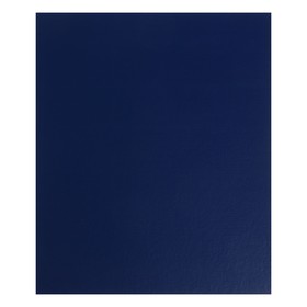 Альбом вертикальный для марок «Стандарт», 230 x 270 мм, (бумвинил, узкий корешок) с комплектом листов 5 штук, синий Ош