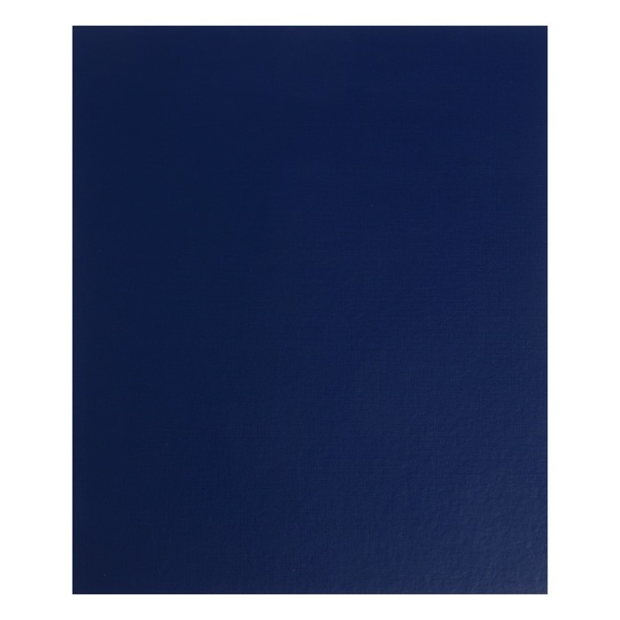 Альбом вертикальный для марок "Стандарт", 230 x 270 мм, (бумвинил, узкий корешок) с комплектом листов 5 штук, синий