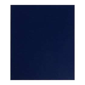 Альбом для монет «Стандарт», 230 х 270 мм, Optima, без листов, синий Ош