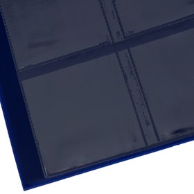 Альбом для монет на 120 ячеек вертикальный, 195 х 255 мм, обложка ПВХ, с листами под монеты в холдерах, синий от Сима-ленд