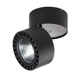 

Светильник Forte, 35Вт LED, 3500лм, 4000К, цвет черный, IP65