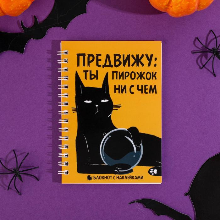 

Блокнот А6, 40 л на гребне, с наклейками «Предвижу, ты пирожок ни с чем»