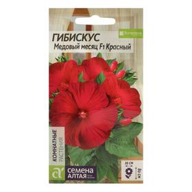 Семена цветов Гибискус 'Медовый месяц', красный, 3 шт. Ош